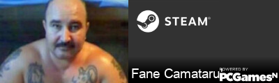 Fane Camataru' Steam Signature
