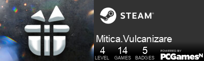 Mitica.Vulcanizare Steam Signature