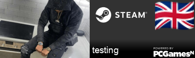 testing Steam Signature
