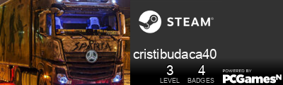 cristibudaca40 Steam Signature