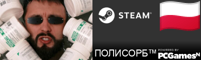 ПОЛИСОРБ™ Steam Signature