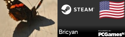 Bricyan Steam Signature