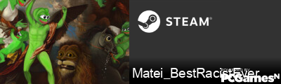 Matei_BestRacistEver Steam Signature