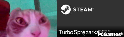 TurboSprężarka Steam Signature
