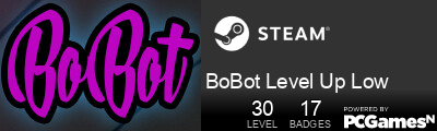 BoBot Level Up Low Steam Signature