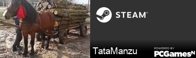 TataManzu Steam Signature