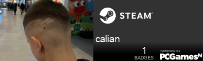 calian Steam Signature