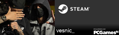 vesnic_ Steam Signature