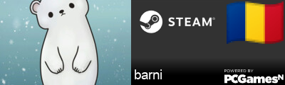 barni Steam Signature