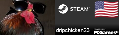dripchicken23 Steam Signature