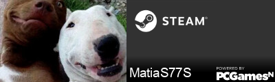 MatiaS77S Steam Signature