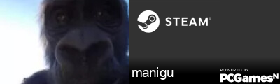 manigu Steam Signature